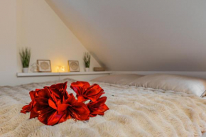Karlsbad Apartments, Karlovy Vary
